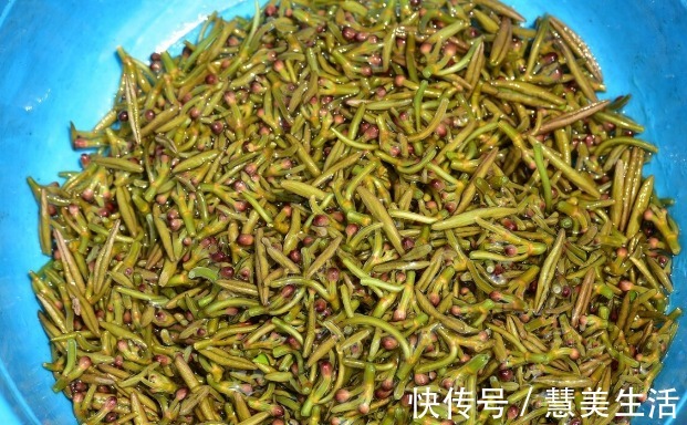 小根|65种野菜图片，带你认识不同的野菜和吃法，你想要的野菜这里都有