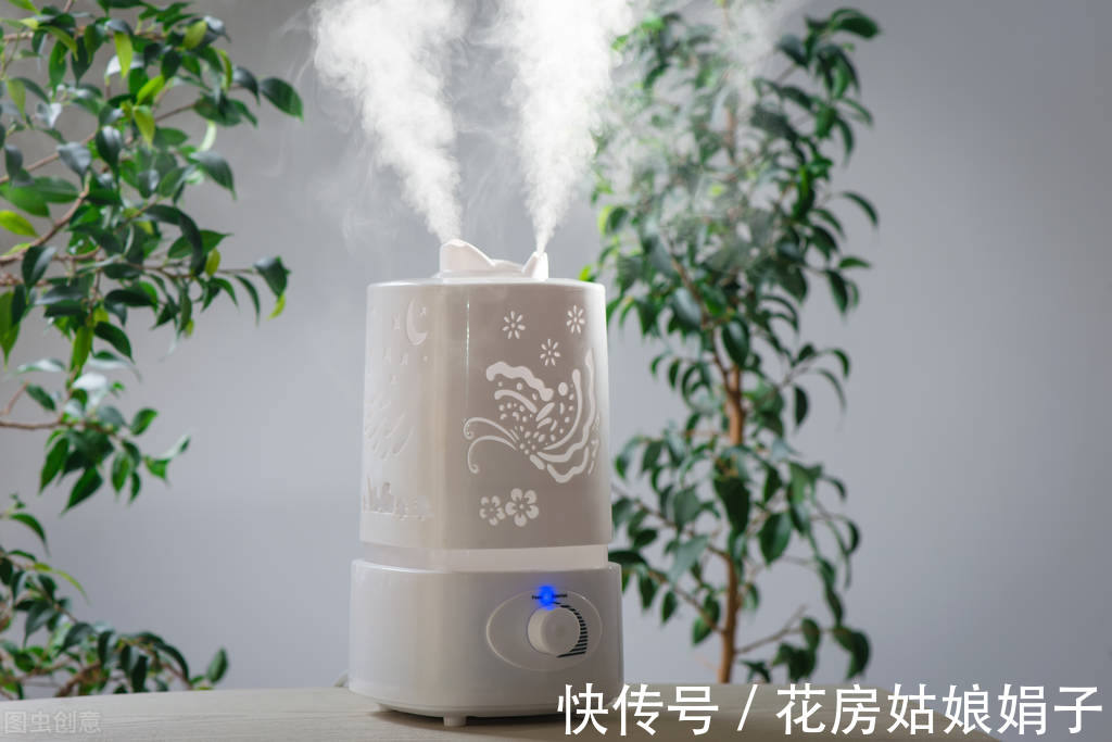 绿植|新手养花常犯的6大忌,占到4条以上就养不好花,不要犯这些错误