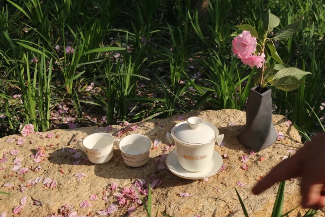 冲泡桐柏红茶的三个技巧你学会了吗