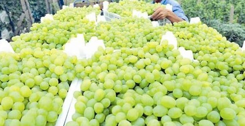 水果|对女人最好的水果，每天当零食吃几颗，淡化皱纹，肌肤更细滑水嫩