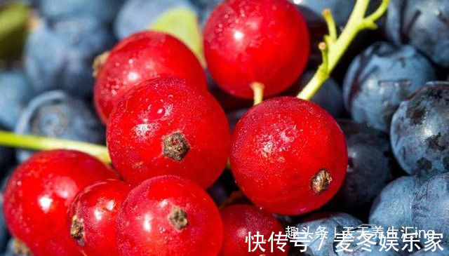 维生素c|夏季不想大肚腩,坚持吃4种食物,排毒燃脂,清理肠胃,早吃早好