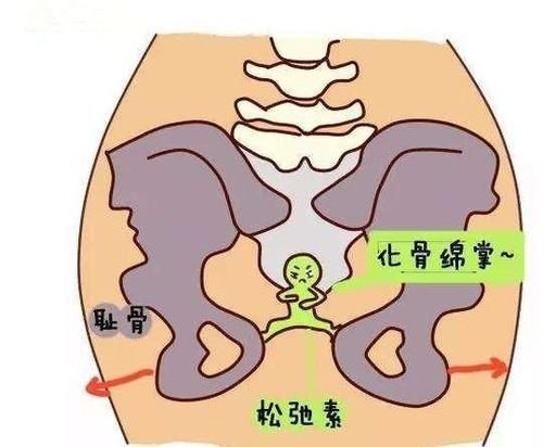 孕期耻骨疼是什么原因，怎么缓解？