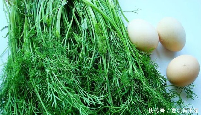 轻松|夏天快到了湿气重,多吃这种蔬菜,可以排除湿气让你身心轻松!