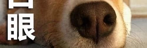 网友们|因孩子姓“车”,妈妈晒出孩子的名字,网友们笑破肚皮