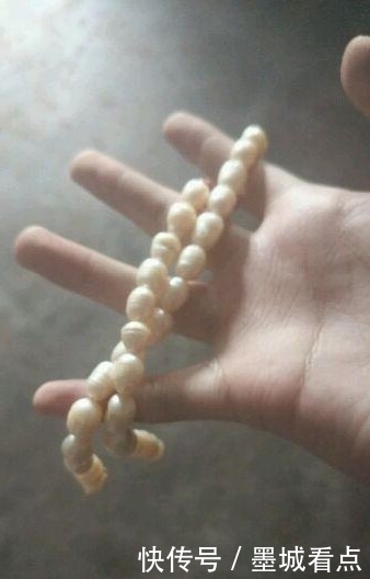 鱼钩|没想到还能这样钓鱼,一看就是个高手