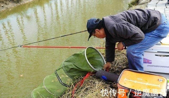 盘点|“黑坑这样用药就是瞎胡闹”！盘点黑坑钓鱼小药的用法用量技巧