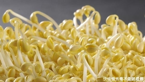 尿酸|幾種常見高嘌呤食物,你平常會吃嗎?最后一個是廚房常客