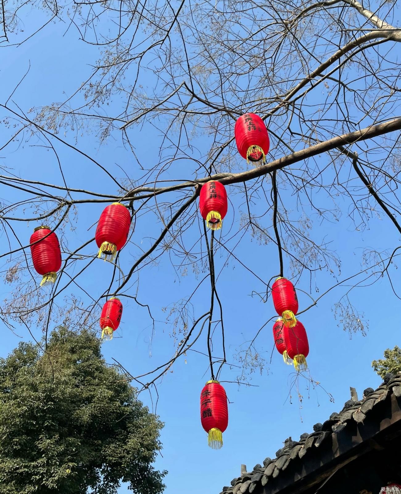 坐在古城里，喝上一杯清茶，细细品味古城的韵味