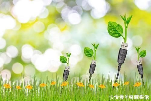 老年人|别把衰老当病治,这些症状不是病,只是老了