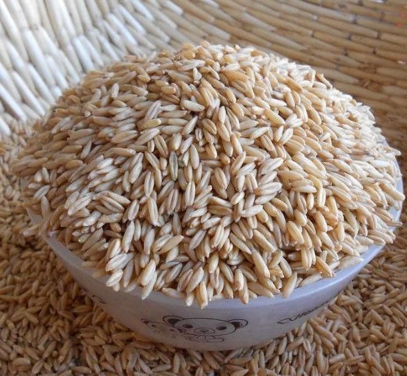 无糖零食|糖尿病人嘴馋不用忍着这几款无糖零食,狂吃也不会升血糖