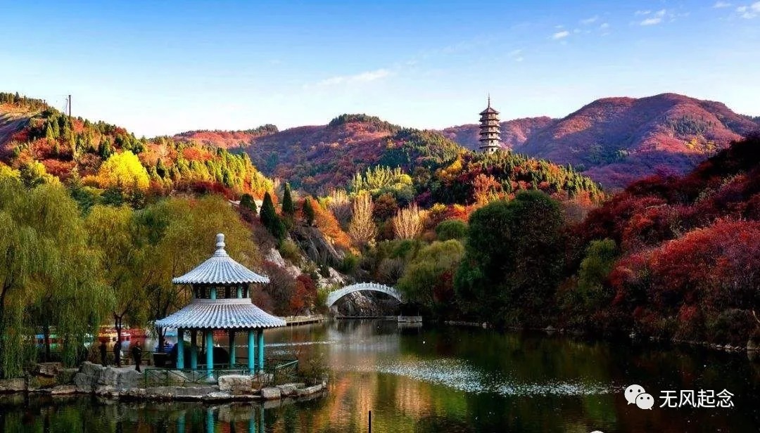 宗室$他出身于唐朝宗室,一生不近女色,却喜爱猴子,还喜欢品茶