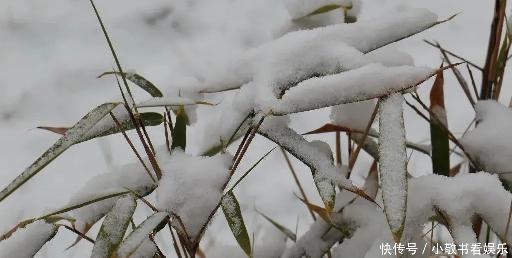 美如画|冬日崇信，动人雪景美如画