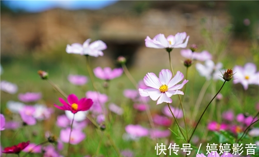 拉萨|拉萨周边的千年古村，秋天风景如画，仓央嘉措曾在此居住了3年