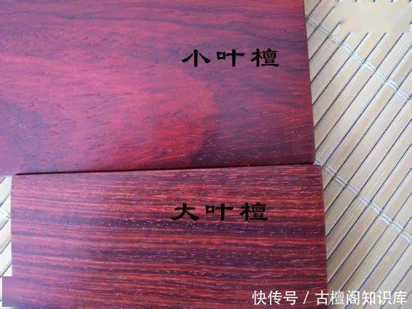 到底|“小叶紫檀”与“大叶紫檀”到底有什么区别?