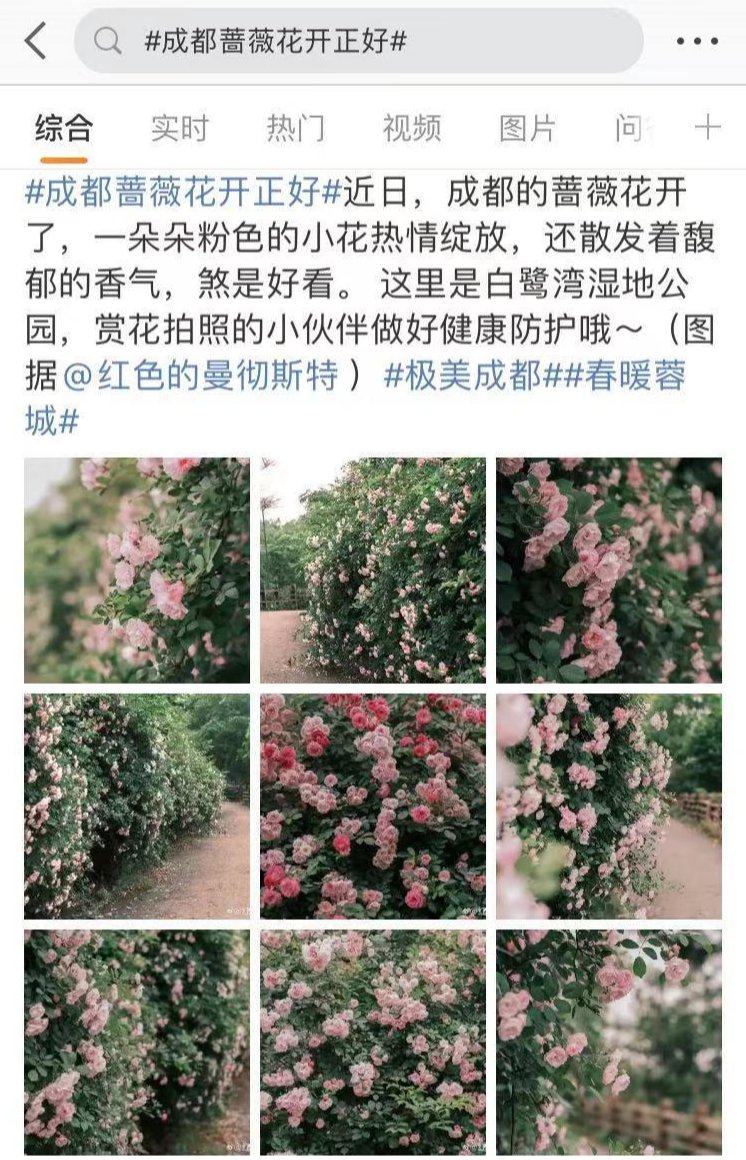 花花花花花~且看公园城市的“花月令”