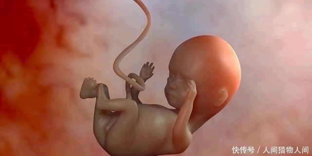分娩|从怀孕到出生，胎儿体重若在这个''范围''内，暗示营养足、发育好