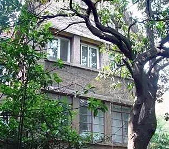 钱币收藏家的旧居,曾以7500美元买下的豪宅,现成岁月的宠儿