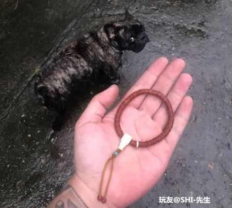 管不住|开眼界这种手串,让人又爱又怕,管不住手