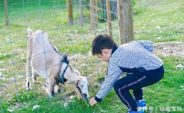 孩子|“学霸”孩子大多都有4个特征,偶尔贪玩也不要紧,你家娃占几条