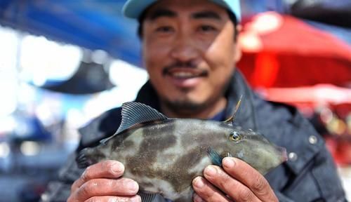 便宜|这5种便宜海鱼,老渔民最爱吃,常被人嫌弃,却不知道营养很丰富