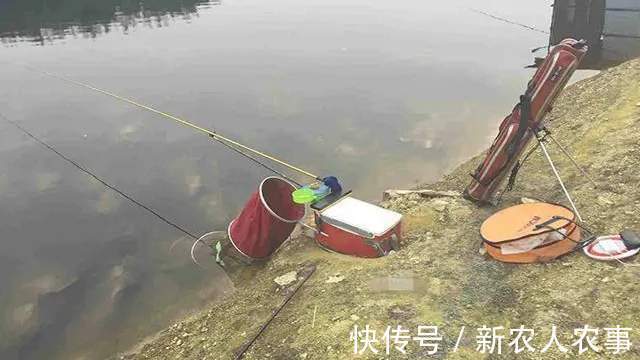 雷龙鱼|江西一男子路过老水井，拿来鱼竿就垂钓，结果有了意外收获