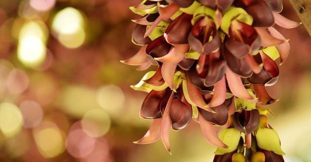 戈兵|一个有教养的人,总会在这四个方面做得很好