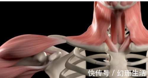 肌腱|肩膀疼痛都是“肩周炎”吗?医生:你错了,肩周炎只占很少一部分