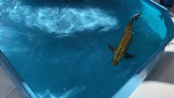 宇树科技|实探云栖大会三天,我们看到了未来的样子