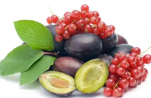 继发性高血压|降四高的“处方”！高血压、高血脂、高血糖、高尿酸，收藏好