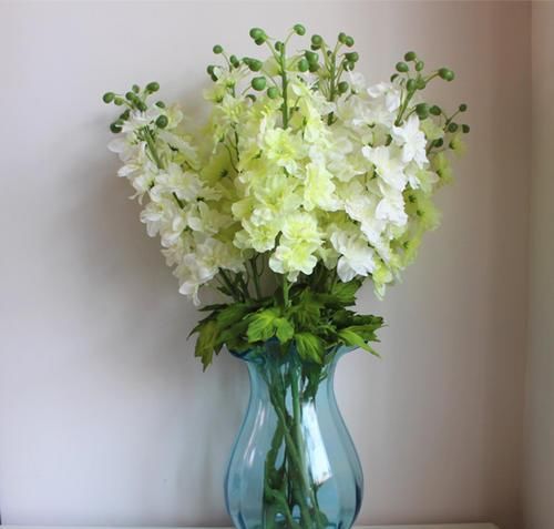 植物|家里万万不要养这几种花，好多人不听劝，难怪身体会越住越差