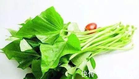 大肚腩|脂肪“害怕”6种食物，每天换着吃，刮油燃脂，大肚腩都没了