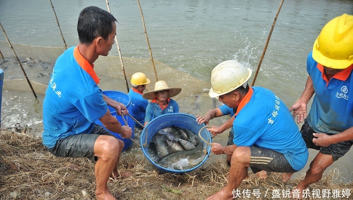 钓鱼也有顺口溜，熟记心头上鱼不用愁