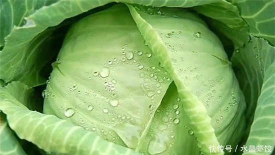 细腻|女性不想过早衰老,此菜每天来一盘,淡化皱纹,皮肤更光滑细腻