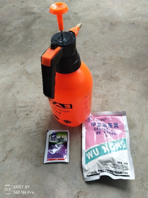 换盆后的旧土别扔，掺上4种东西，土肥得“流油”