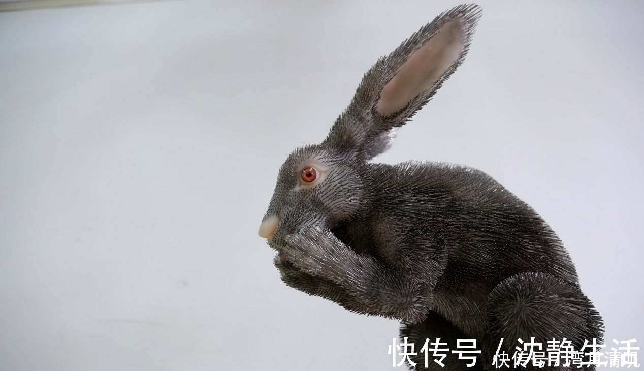 衣针@奇闻：老师用一千万根缝衣针创作，成品活灵活现，展出时让人感动