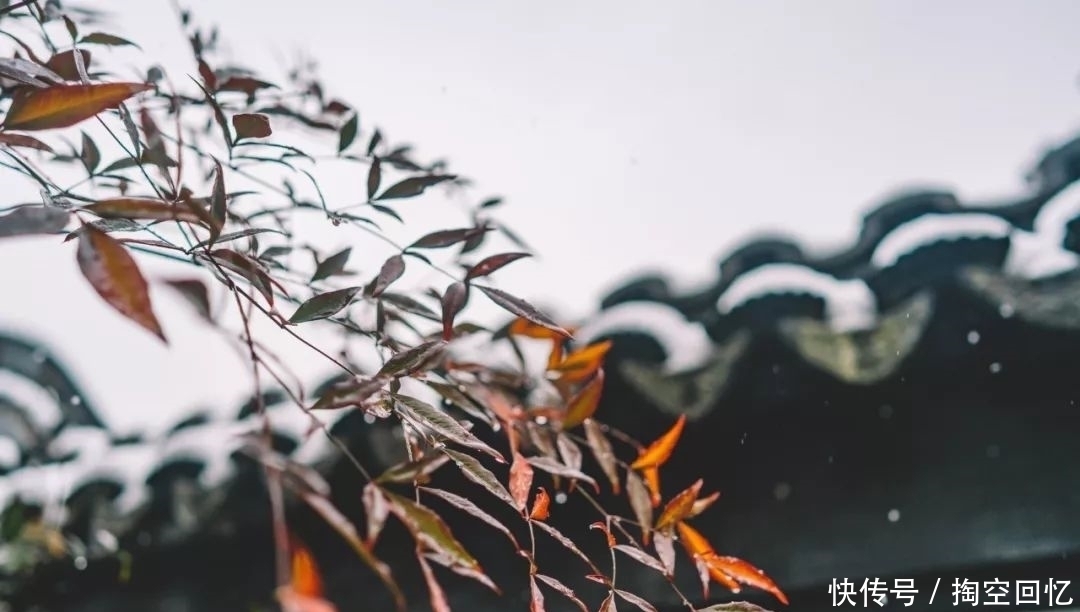 张可久|下雪啦!不读这20句诗词,你就不知道雪有多美