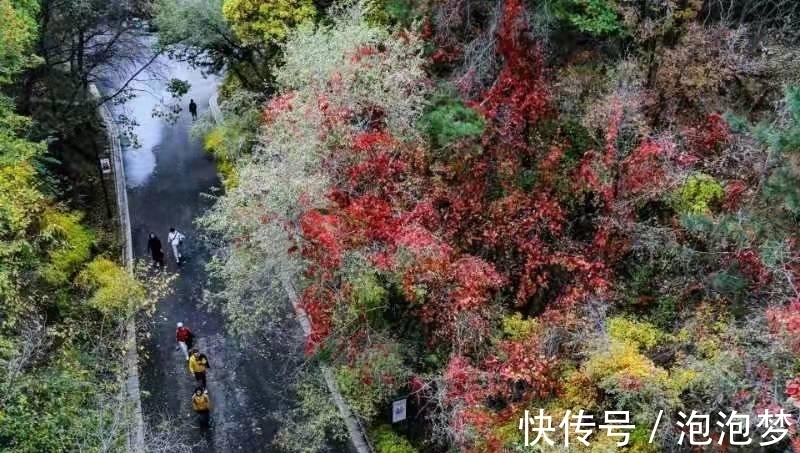 北山|吉林市北山秋色，美！