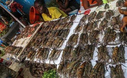 非洲人最大的困惑此物腥味这么重,为何成了中国的顶级食材