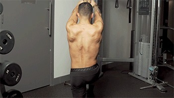 腘绳肌|几块“易被忽视训练”的重要肌肉,可能影响你的训练质量!