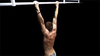 肱二头肌|关于正手vs反手引体向上，该怎么选择的问题，都有哪些肌肉参与？