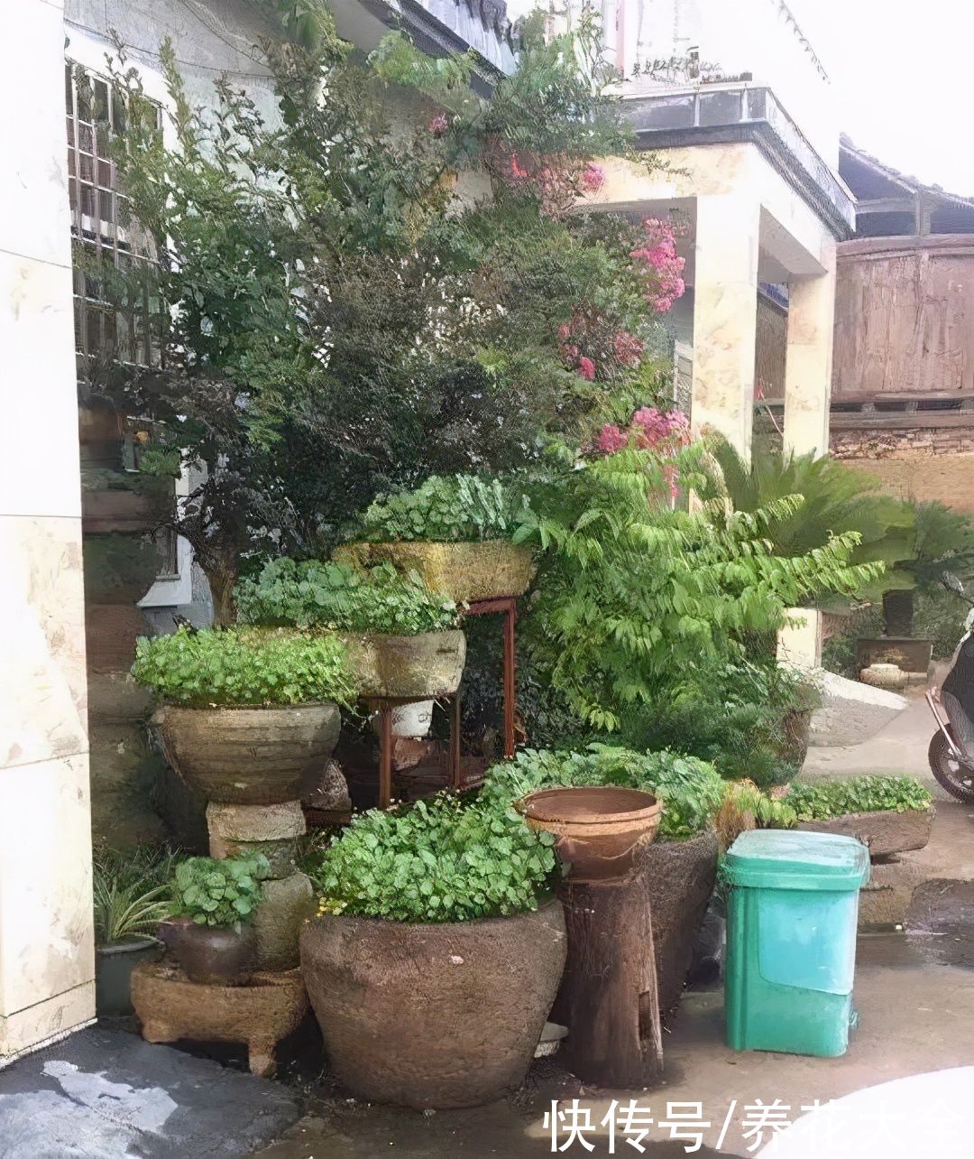 过完年，垃圾桶周围多了不少花，又要开始捡破烂儿了