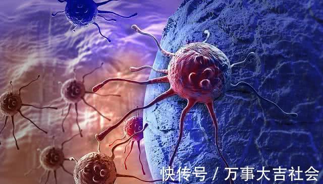 抗肿瘤|几毛钱1斤的它,却被放在厨房角落,能降四高防血栓、抗肿瘤