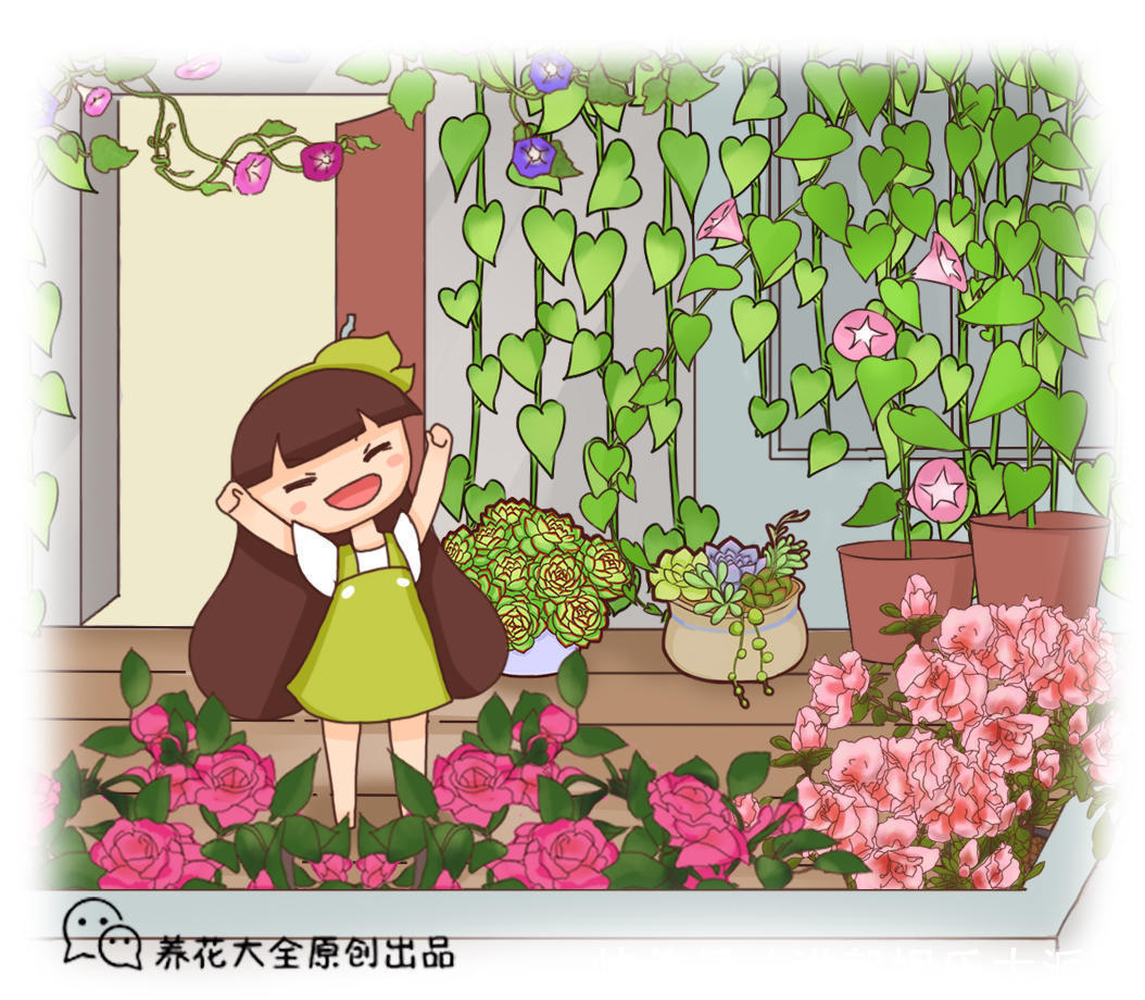 琉璃殿|这几种多肉最怕晒,晒一盆死一盆,夏天一定做好防晒工作