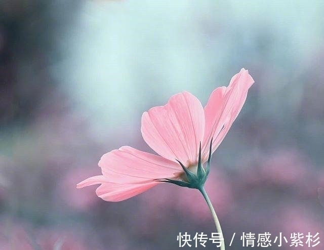 好的孤独!看到内心都发颤的话,句句精品,道尽人生百态!