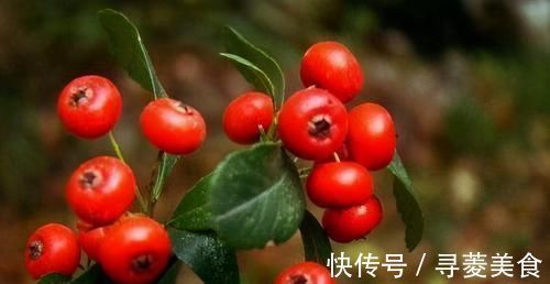 补镁|想长寿的人，要坚持吃三种食物，补镁补钙，增强体质，好处多多