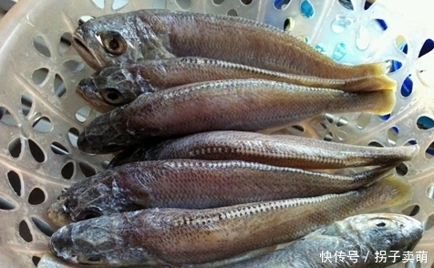 料酒|做鱼只会用料酒和姜去腥?太“外行”了,教你一招,鱼肉鲜嫩不腥