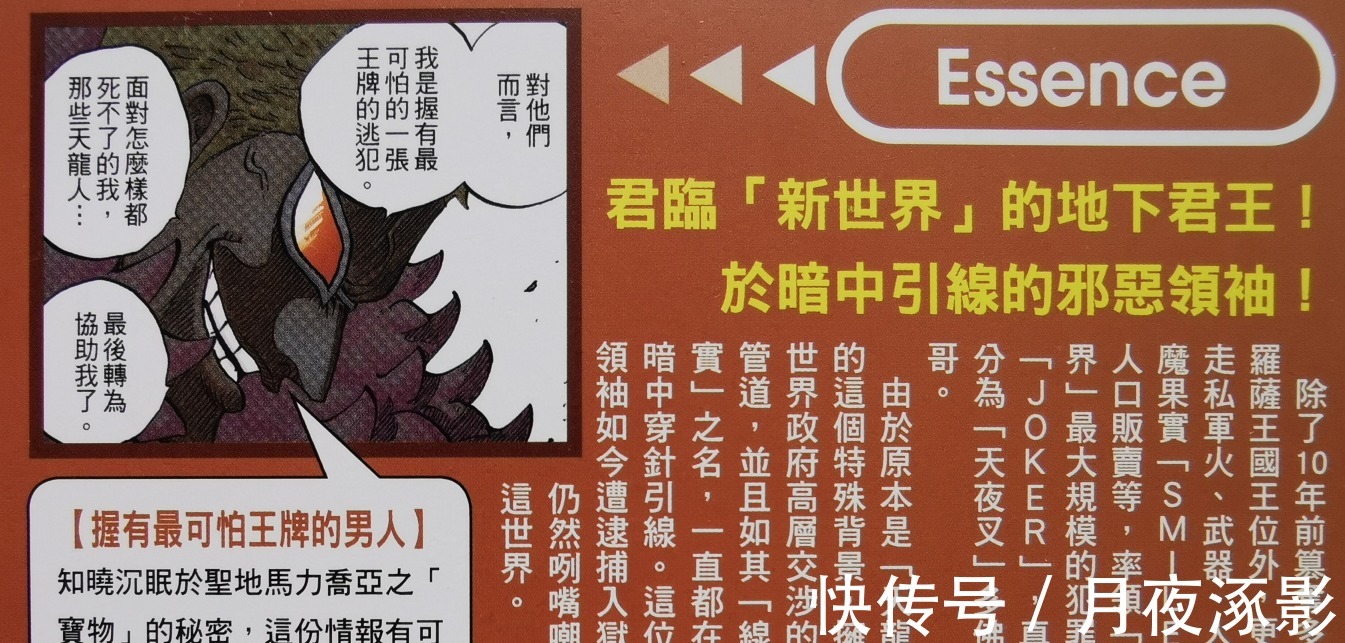世界政府|海贼王官方资料罪恶滔天的人气反派，了解一切真相的多弗朗明哥