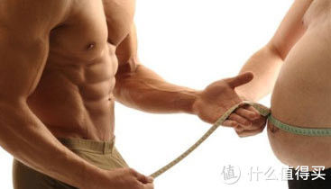 脂肪|干净增肌vs狂野增肌：哪种要更好？