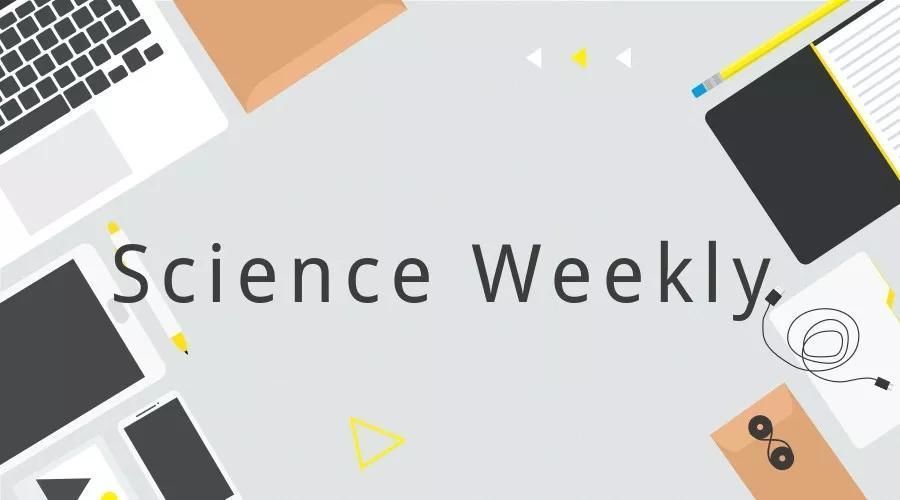 学者 导致恐龙灭绝的陨石从哪儿来?哈佛学者提出新理论|一周科技