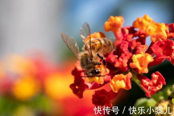 射手座|8天内，爱到尽头，相遇太难，为爱执着，执着求和，重回往日美好